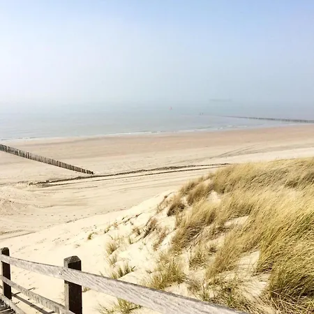 In With Terrace Apartament *