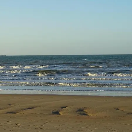Apartment In With Terrace
