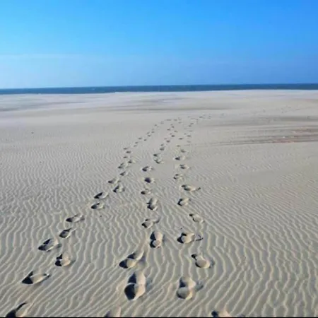 Apartament In With Terrace *