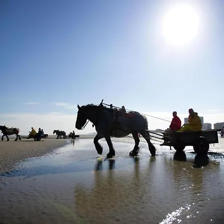 In With Terrace * Nieuwpoort