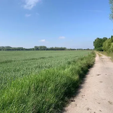 Apartament In With Terrace Nieuwpoort